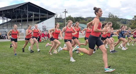 Fredonia's Lendt, Krenzer post cross country victories